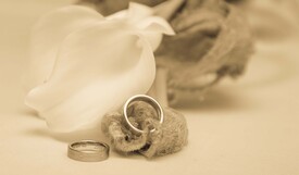 huwelijk Sylvie & Sylvia 157